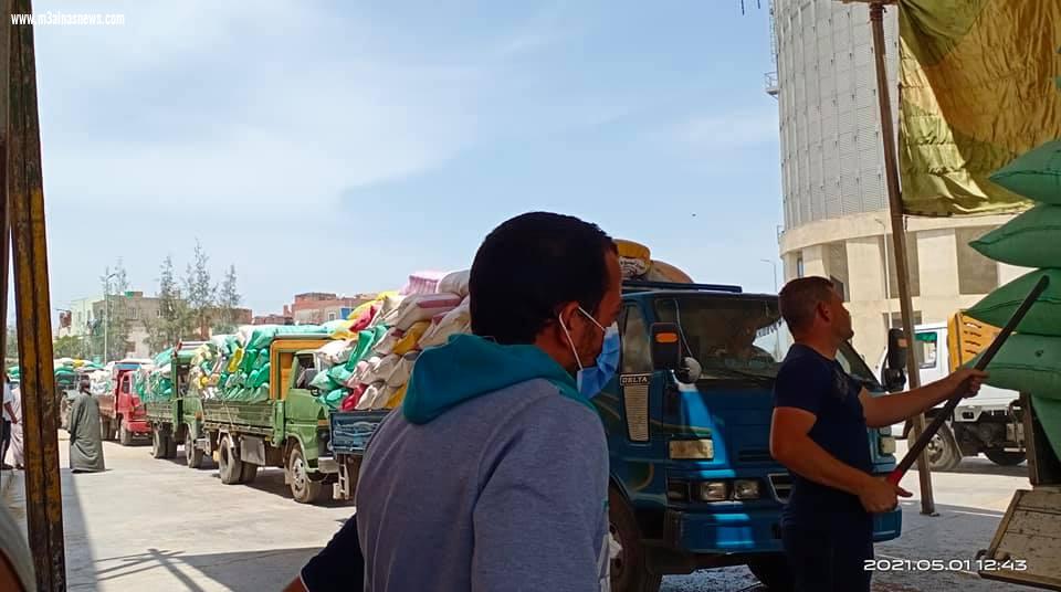 وكيل وزارة التموين بكفر الشيخ.. إجمالى المورد من الأقماح 86589 طن و210  كجم